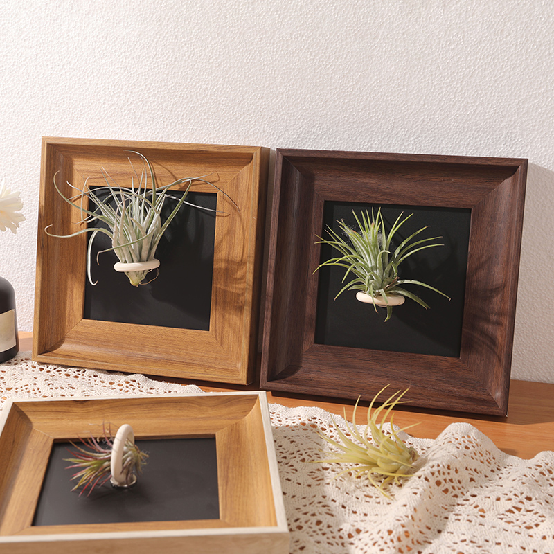空气凤梨中古高级感磁吸相框空框摆台支架正方形diy定做装饰画框
