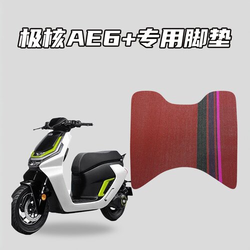 适用极核AE6+雪妮丝车载脚垫耐磨防水防滑专用