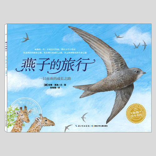 顽龙麻麻引进版绘本精选
