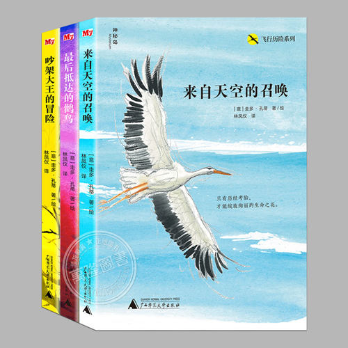 魔法象引进版儿童故事小说