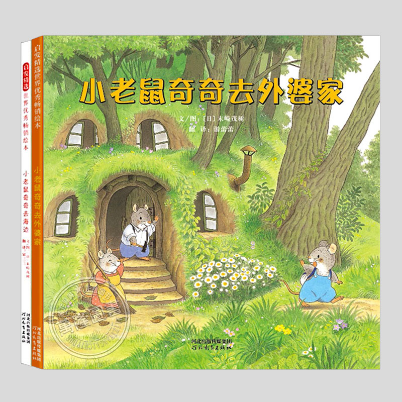 拉页大书，一本书就一页