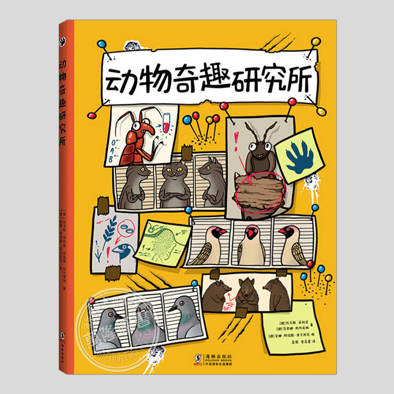 动物奇趣研究所(正版硬壳精装)动物趣味搞笑科普儿童绘本3三-4-5到6岁以上幼儿园大中小班宝宝孩子早教阅读睡前启蒙故事图画书籍,书籍/杂志/报纸,科普百科,淘宝优惠券,粉丝福利购,淘宝优惠卷