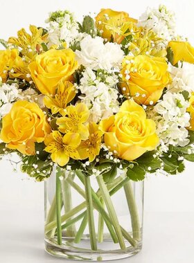 美国鲜花速递道歉花束黄玫瑰瓶花洛杉矶鲜花速递墨尔本芝加哥送花