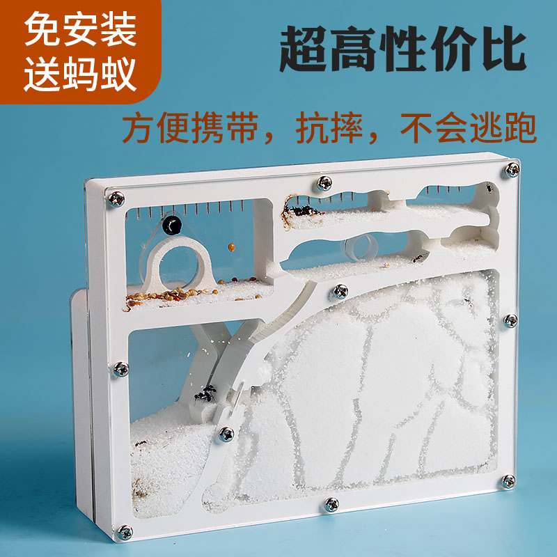 蚂蚁工坊家园蚂蚁生态箱盒城堡蚂蚁窝巢观察宠物蚂蚁活体繁殖蚁后