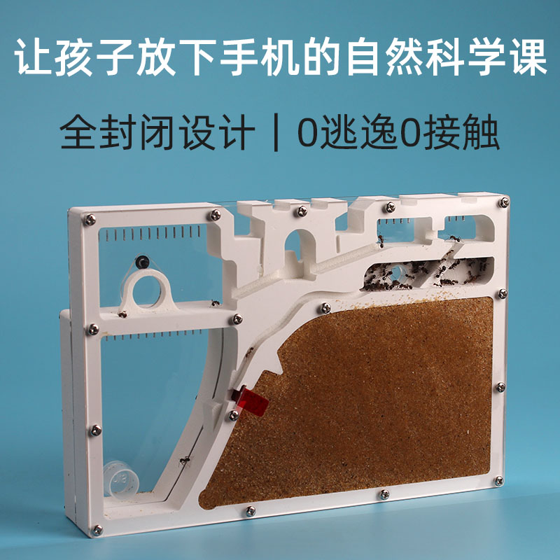 蚂蚁城堡蚂蚁工坊家园蚁后世界小屋沙场巢蚂蚁生态箱桌面蚂蚁宠物