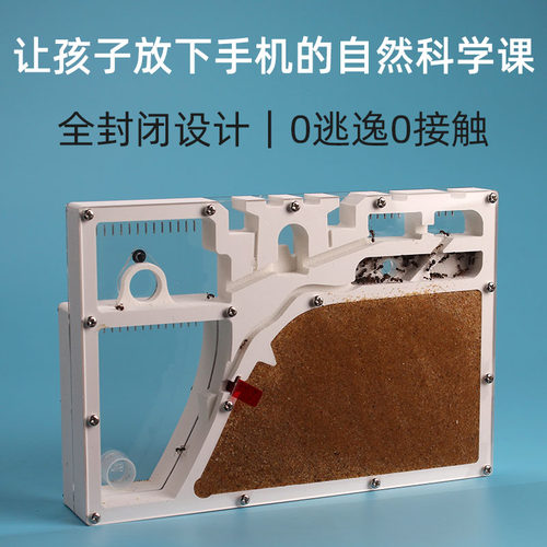 专为学生设计，蚂蚁观察箱，抗摔