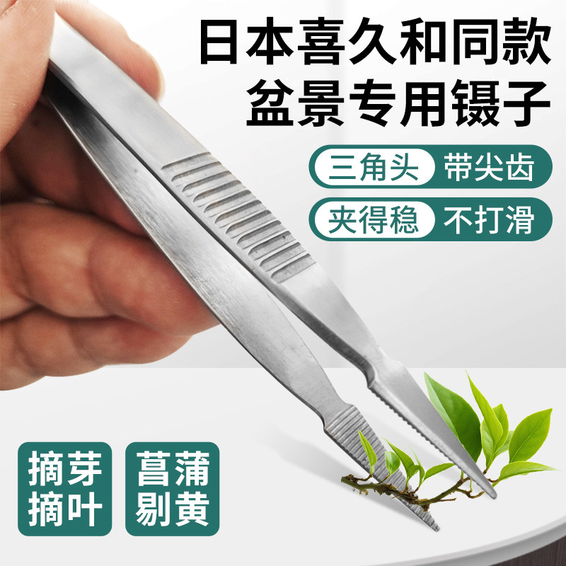 日本同款不锈钢园艺专用镊子 菖蒲剔黄多肉枯叶摘芽摘叶防滑夹子