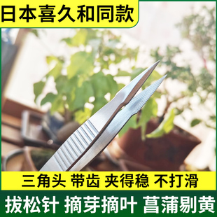 日本喜久和同款园艺镊子 带齿防滑 盆景修芽夹枯叶抓虫拔松针专用