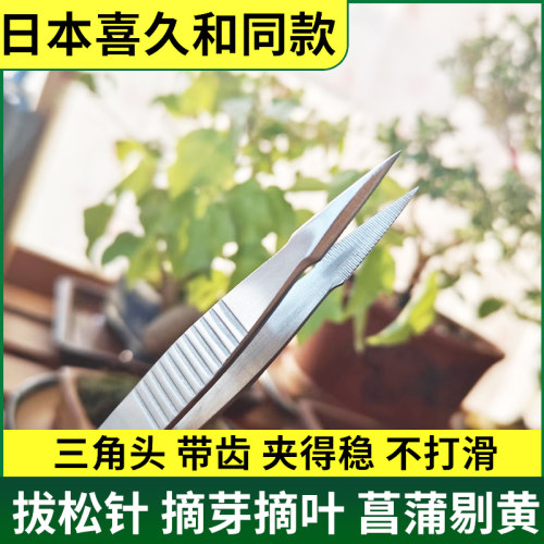 日本喜久和同款园艺镊子 带齿防滑 盆景修芽夹枯叶抓虫拔松针专用