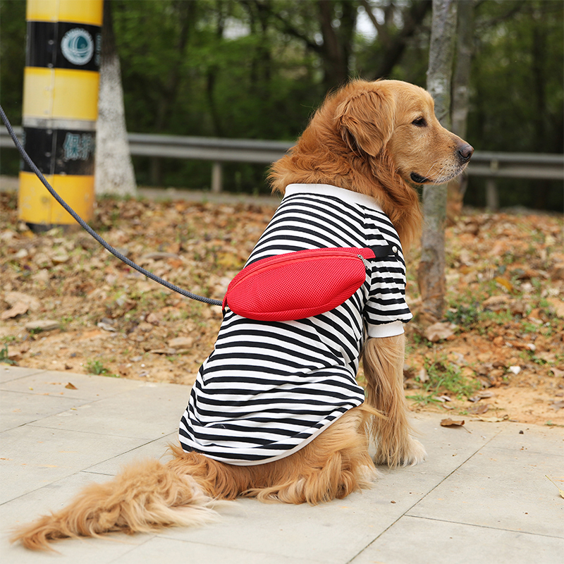 带书包的金毛中大型犬宠物春秋装