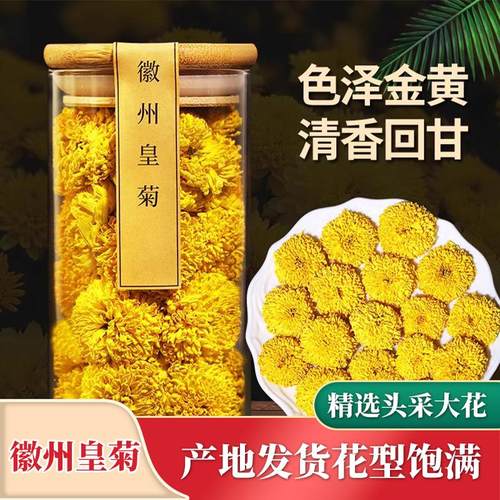 徽源一朵一杯精选徽州皇菊