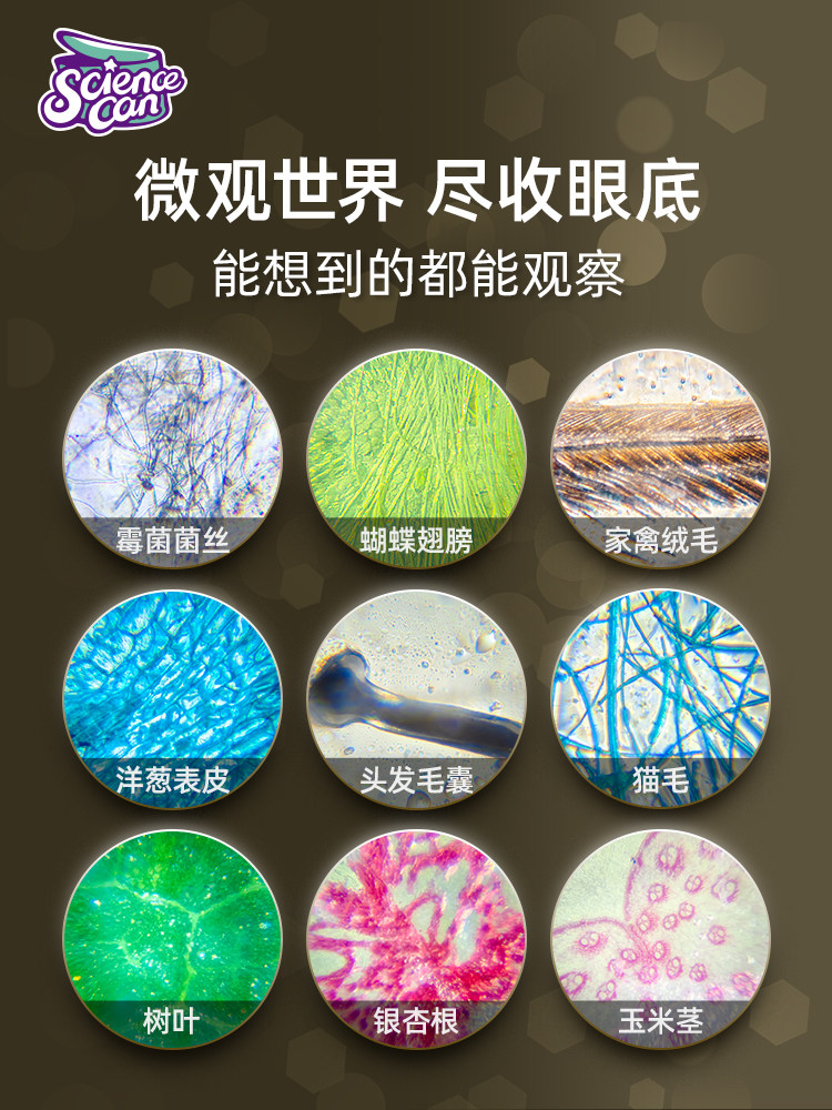 어린이 휴대용 다윈 현미경 초등 학생 휴대용 전문 과학 재미 실험 세트 선물 장난감