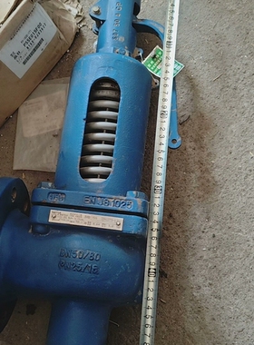 斯派莎克安全阀SV607DS 球墨铸铁 DN50 PN25法 议价