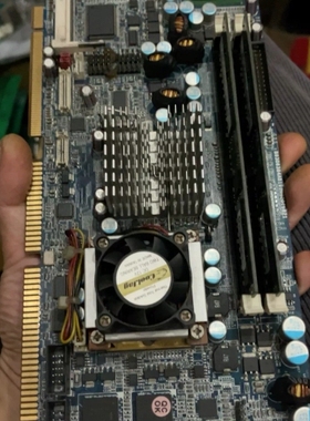 瑞传DSM Computer BlueBoard 96M42 议价