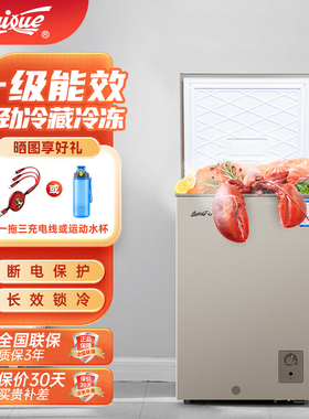 白雪家用小冷柜一级能效全冷冻冷藏小冰柜100/145/150L