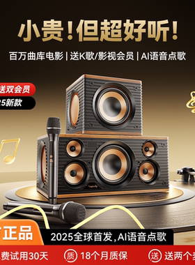 金运家庭KTV音响套装一体麦克风智能点歌机K歌无线话筒唱歌卡拉OK