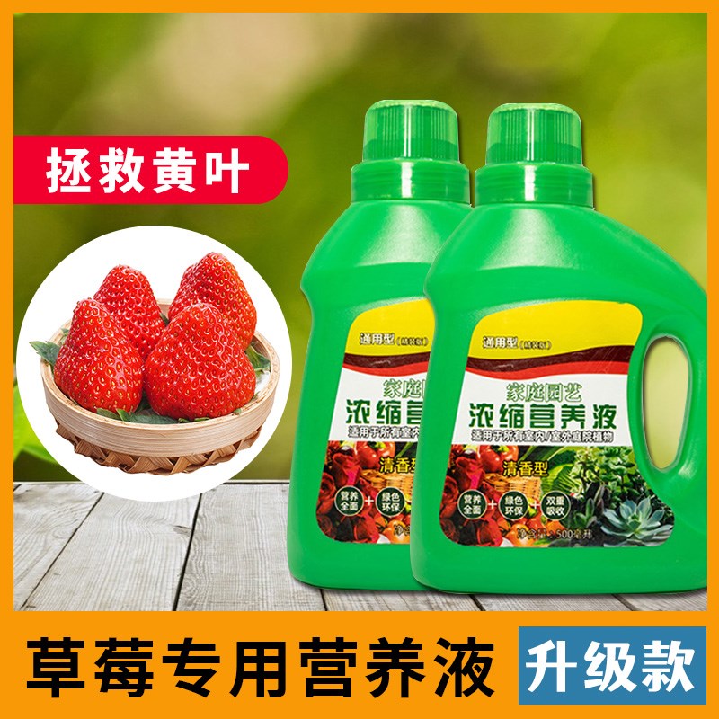 草莓营养液室内液体肥专用植树种花树木有机无土栽培盆景育苗养花