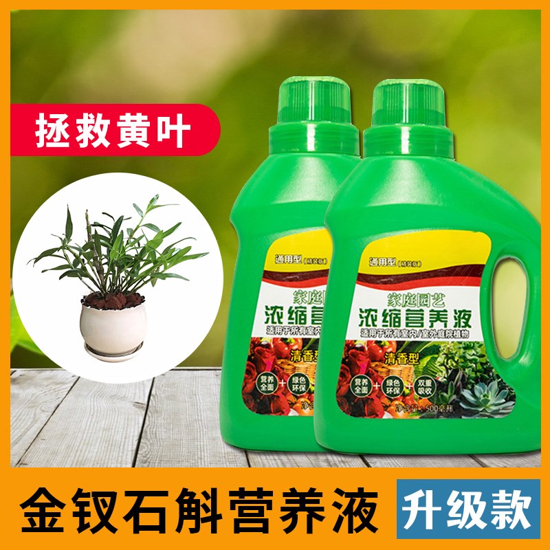 金钗石斛营养液花卉专用水培植物水养通用型盆景增长液花草园艺