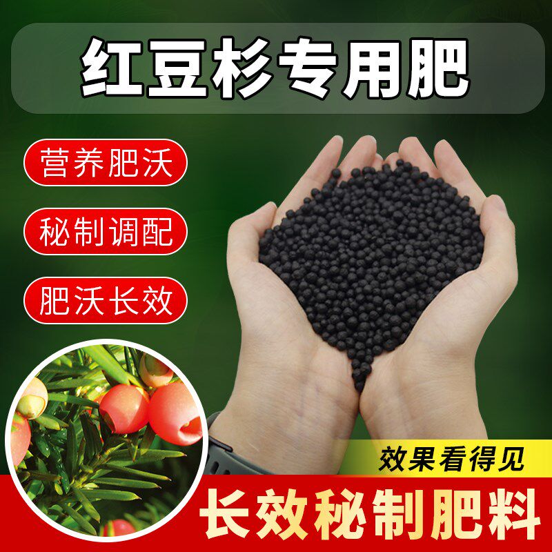 红豆杉专用肥料盆景杉树红豆杉有机复合营养肥颗粒缓释盆栽花肥料