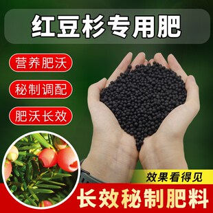 红豆杉专用肥料盆景杉树红豆杉有机复合营养肥颗粒缓释盆栽花肥料