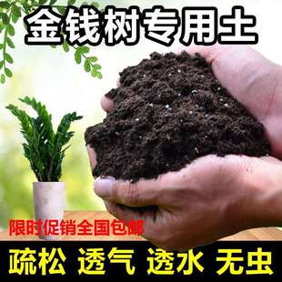 金钱树专用土室内盆栽种植土通用型营养土有机肥料弱酸性土壤包邮