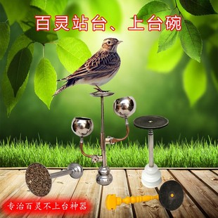 百灵鸟笼站台鸟食罐食碗球杯不上台拔节加长站杆凤头云雀鸟笼配件