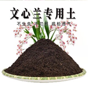 文心兰专用土绿植盆栽肥料花泥土文心兰营养土通用种植养花种花土