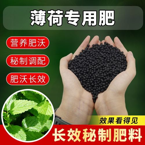 薄荷专用肥料盆栽绿植绿叶薄荷肥料猫薄荷颗粒肥花肥料有机缓释肥