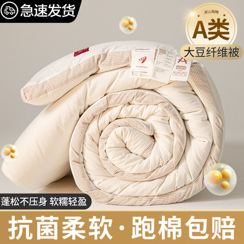 A类抗菌大豆纤维冬被芯棉被褥子