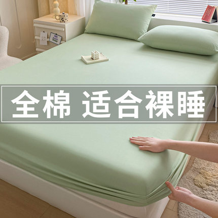 纯棉床笠单件2024新款全棉床罩床垫保护罩三件套防尘防滑四季通用