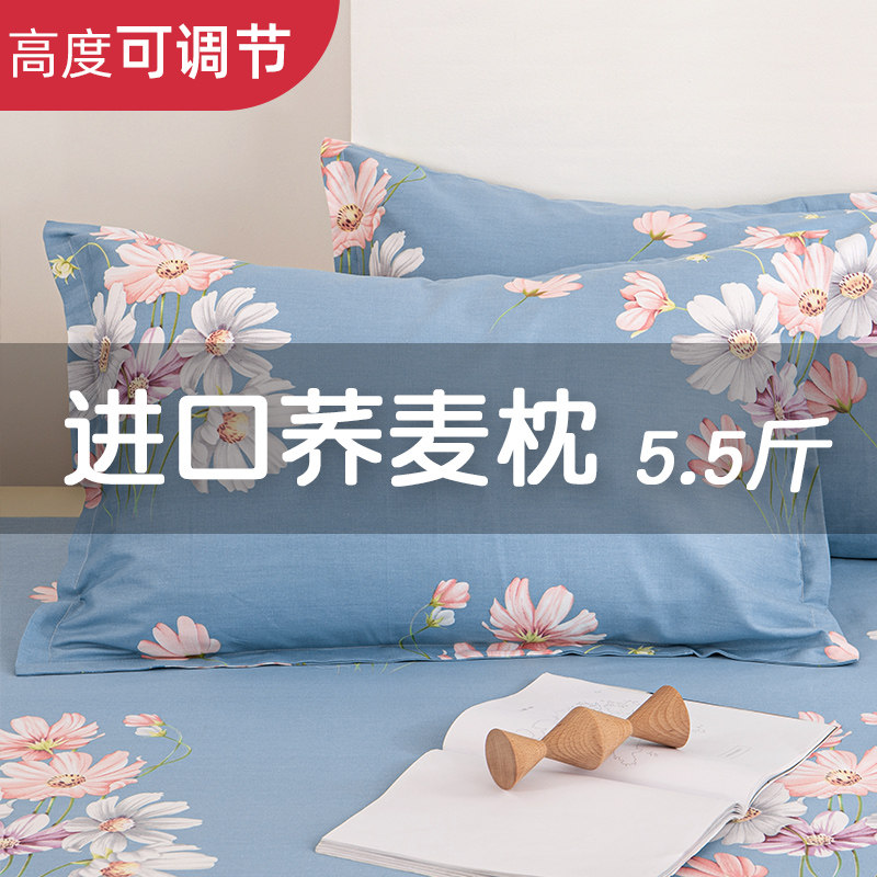 枕芯带枕套荞麦枕头双人荞麦皮护颈椎枕助睡眠单人家用一对拍2