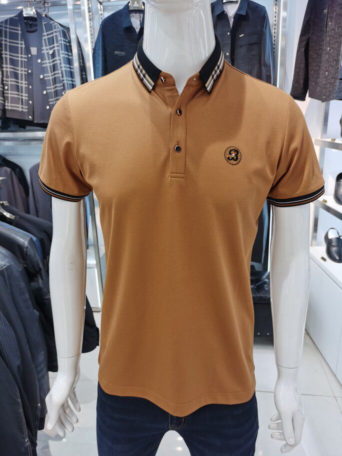 高端品牌短袖t恤男2026夏季薄款刺绣丝光棉半袖时尚翻领POLO衫