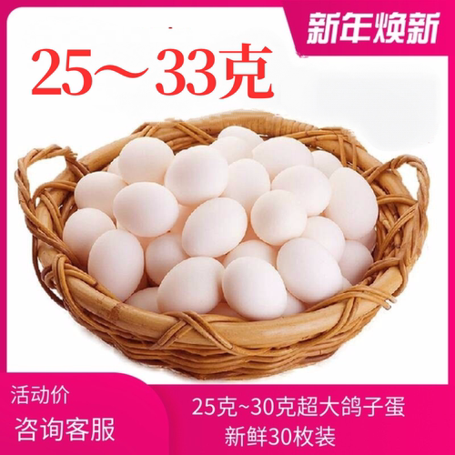 新鲜鸽子30枚包邮优质散养