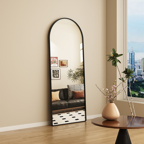 铝合金穿衣镜落地全身镜子壁挂贴墙自粘家用轻奢女生卧室试衣镜子