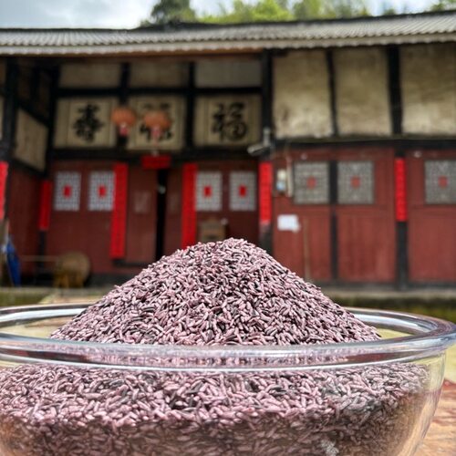 2026年正宗贵州农家老品种梯田紫糯米可代餐月子米粽子米
