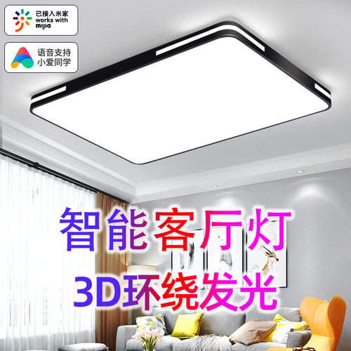 灯具客厅灯简约现代大气家用卧室灯温馨浪漫长方形铁艺LED吸顶灯