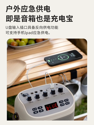 Дорожный чемодан, беспроводной микрофон, колонки, популярно в интернете, bluetooth