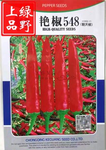 农科院高辣型大果朝天椒种子 艳椒548 单生椒香辣椒加工腌制果硬