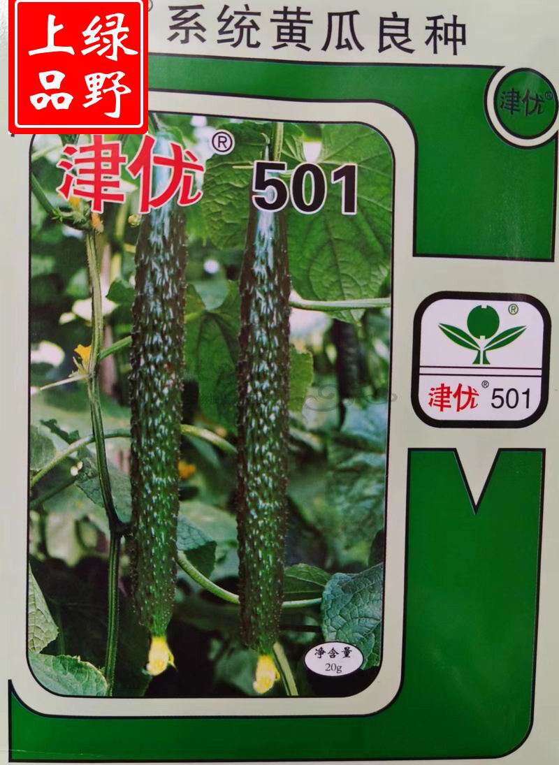 高端露地高产抗病津优501黄瓜种子瓜条深绿顺直口感脆甜短把黄瓜