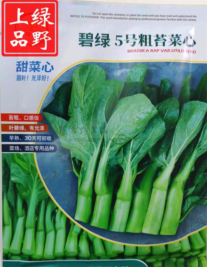 绿野上品蔬菜种子粗苔菜心耐湿热