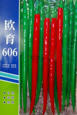 绿野上品红椒种子欧育606果红亮