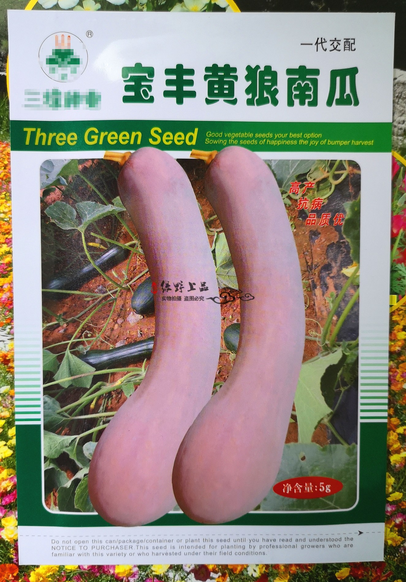 宝丰黄狼南瓜种子早熟一代杂交蔓生瓜条均匀肉质细糯口感甜耐储运