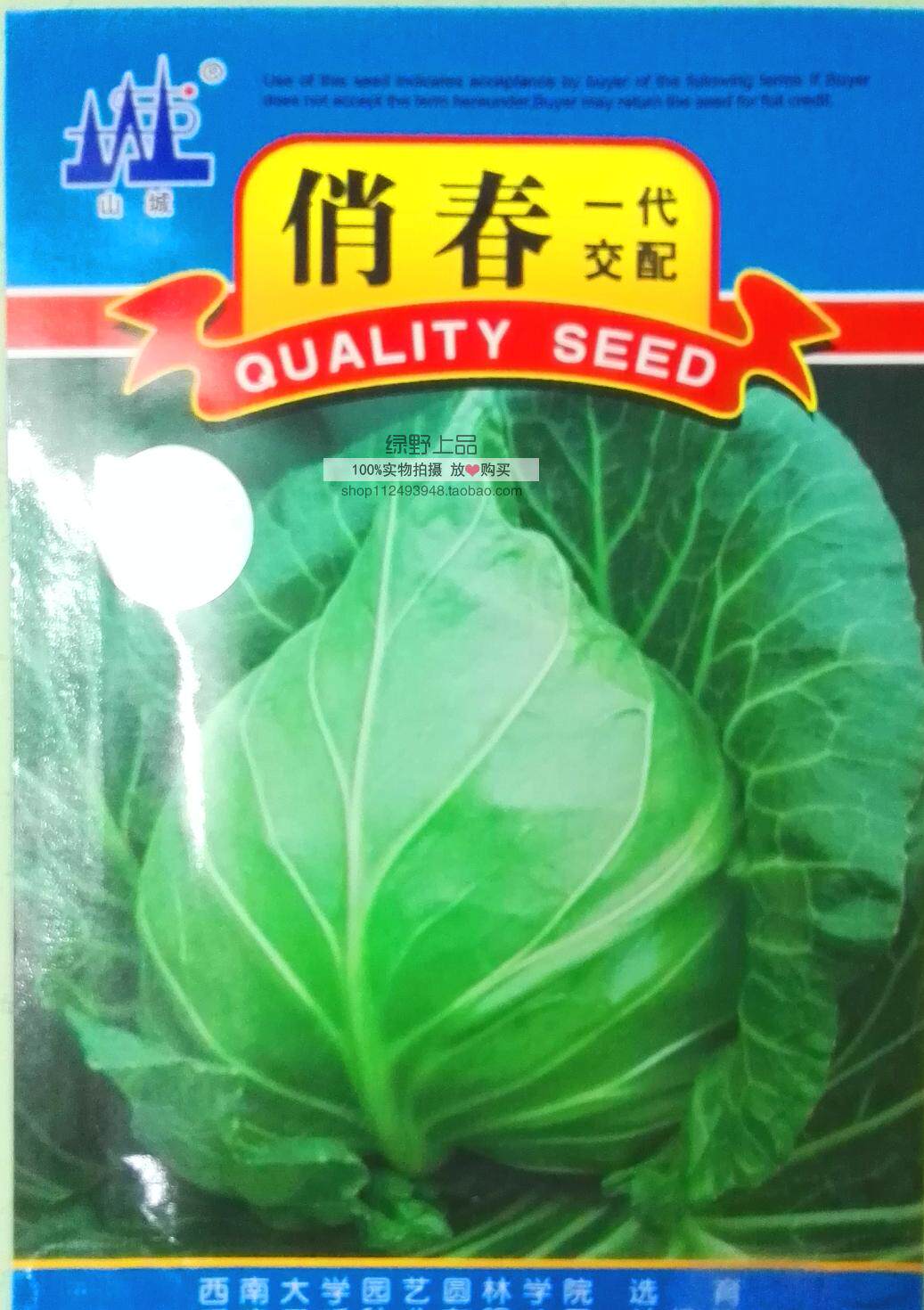 绿野上品农科院早熟甘蓝种子俏春春丰牛心甘蓝春秋播冬性强耐抽苔