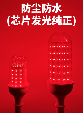荧翊红光玉米灯防水带罩户外室外