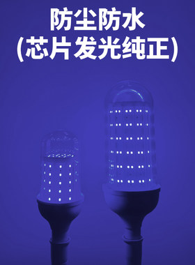 荧翊蓝紫光诱虫防水led灯泡户外