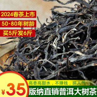 2024益仓普云南普洱春茶生茶散茶明前大树春茶袋装 80年鲜爽回甘