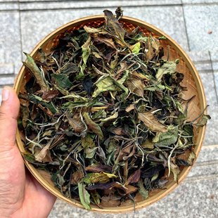 散茶叶500g香甜度高无苦涩 2025新茶云南勐海勐宋老树大树白茶散装