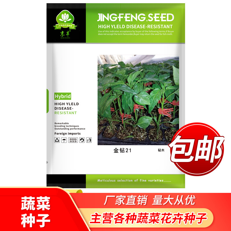 辣椒嫁接专用砧木种子 金钻21线椒甜椒尖椒 亲和力强耐病性好包邮