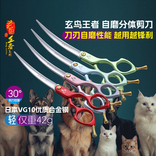 玄鸟宠物美容剪刀修毛专业剃毛专业美容师宠物店专用自磨小弯剪刀