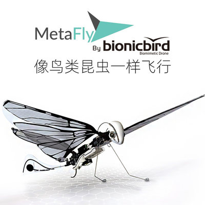 BionicBird仿生鸟扑翼无人飞行器